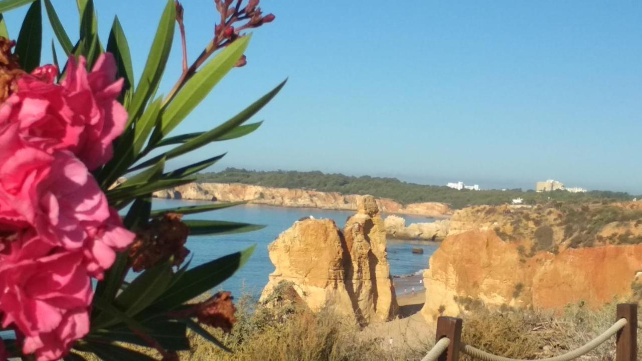 Albur Village B - Camomile Alvor Zewnętrze zdjęcie